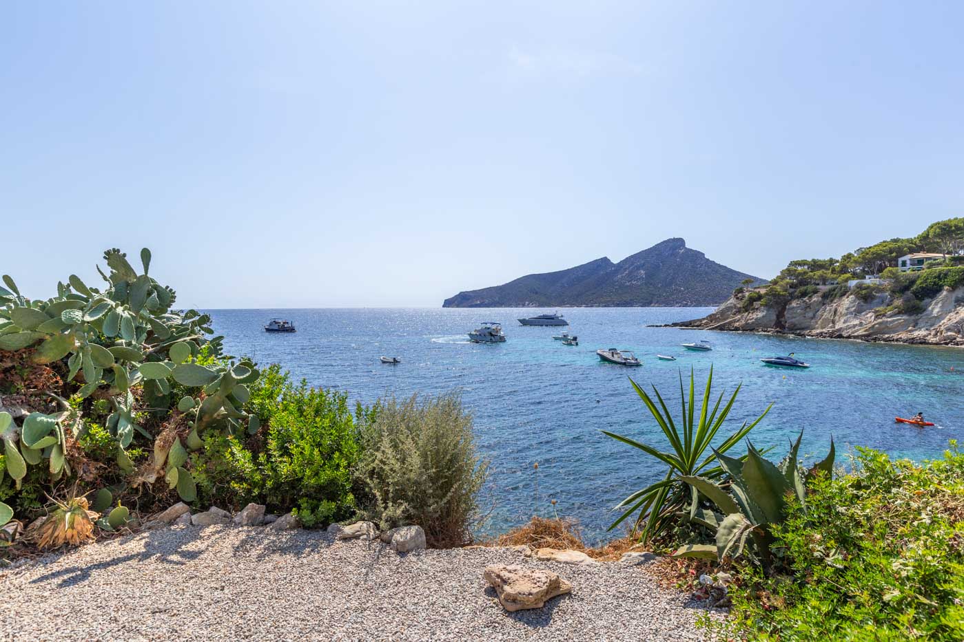 Cover Can Diné En San Telmo